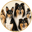 Hundesinn Logo